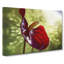 Anthurium Flower - Wrapped Canvas Painting-55323950