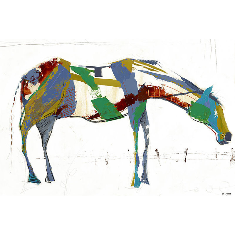 Painted Horse Alone Print by Milton Coppo, 40" H x 60" W x 1.5" D, Plexi