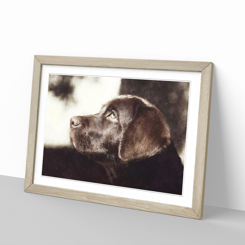 Chocolate Labrador Portrait - Framed Print, 45cm H x 63cm W x 2cm D, Oak Framed