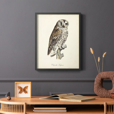 «French Owls III», reproduction encadrée - bois massif