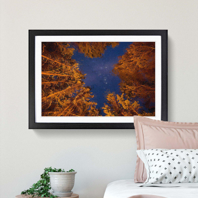 Forest Stars in Canada - Picture Frame Graphic Art Print, Black Framed, 36cm H x 48cm W x 2cm D