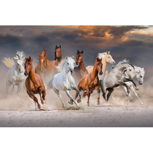 Union Rustic Horse Herd Run On Canvas by Callipso Print | Wayfair