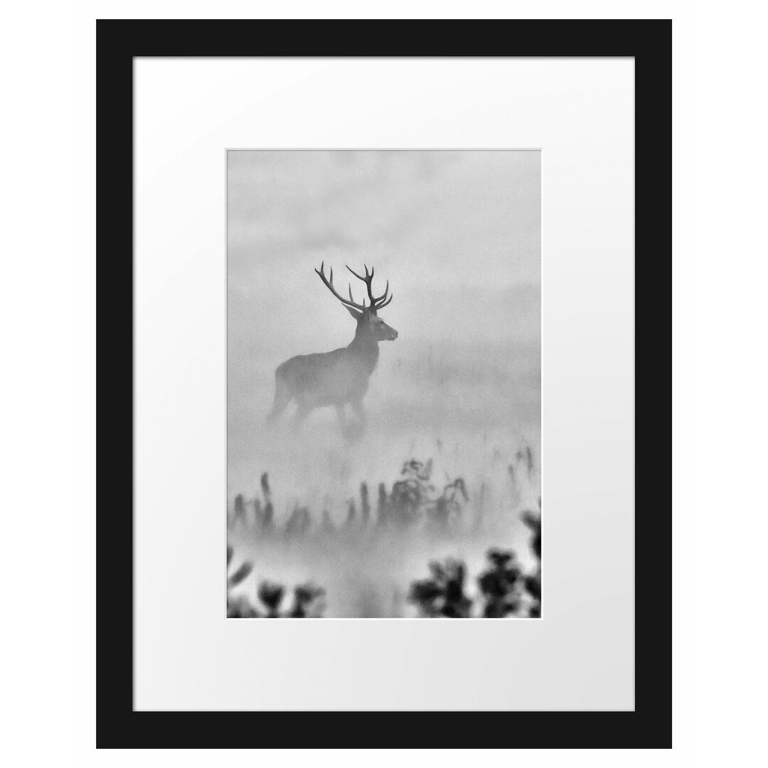 Gerahmtes Poster Hirsch im Nebel