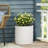 MGO PLANTER-478325805