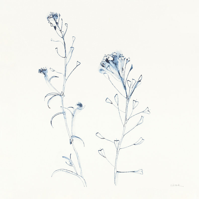 Shepherds Purse Stems II - bleu, H 20 po x l 20 po