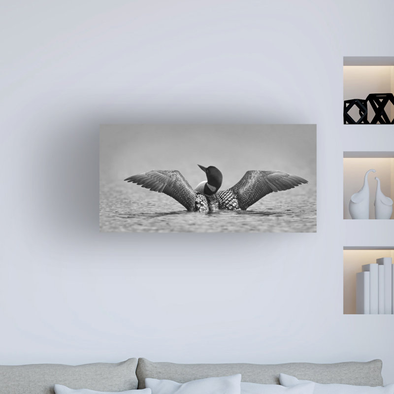 «Common Loon in Black and White» par Jim Cumming, reproduction de photo sur toile tendue, H 16 po x l 32 po x P 2 po