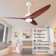 52 In. Smart Indoor Silver Ceiling Fan With 3-colors Led Light/dimmer And Dc Reversible And App/remote/memory Function