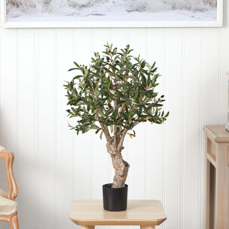  2.5ft. Olive Silk Tree