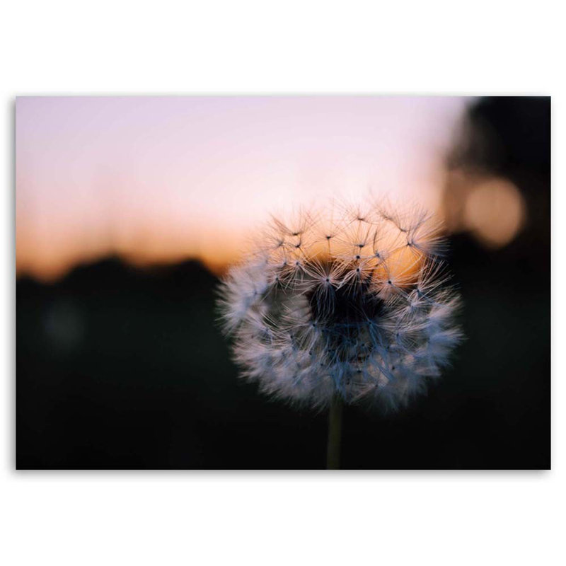 No Frame Print on Canvas, 40cm H x 60cm W
