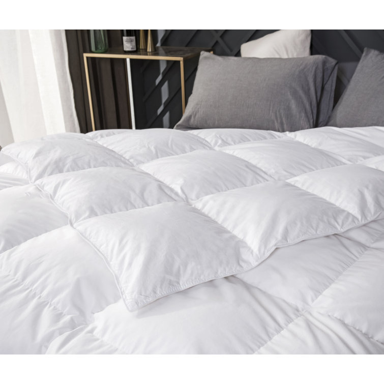 Royal Elite 400TC Hutterite 800 Fill Power Summer Down Comforter - Wayfair  Canada