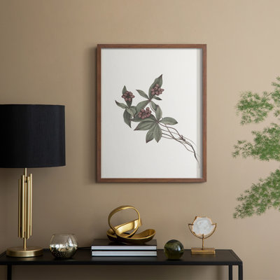 Impression florale vintage encadrée CLXV III - bois massif