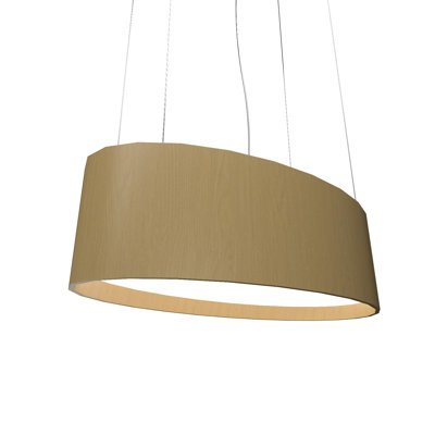1 - Light LED Unique/Statement Pendant