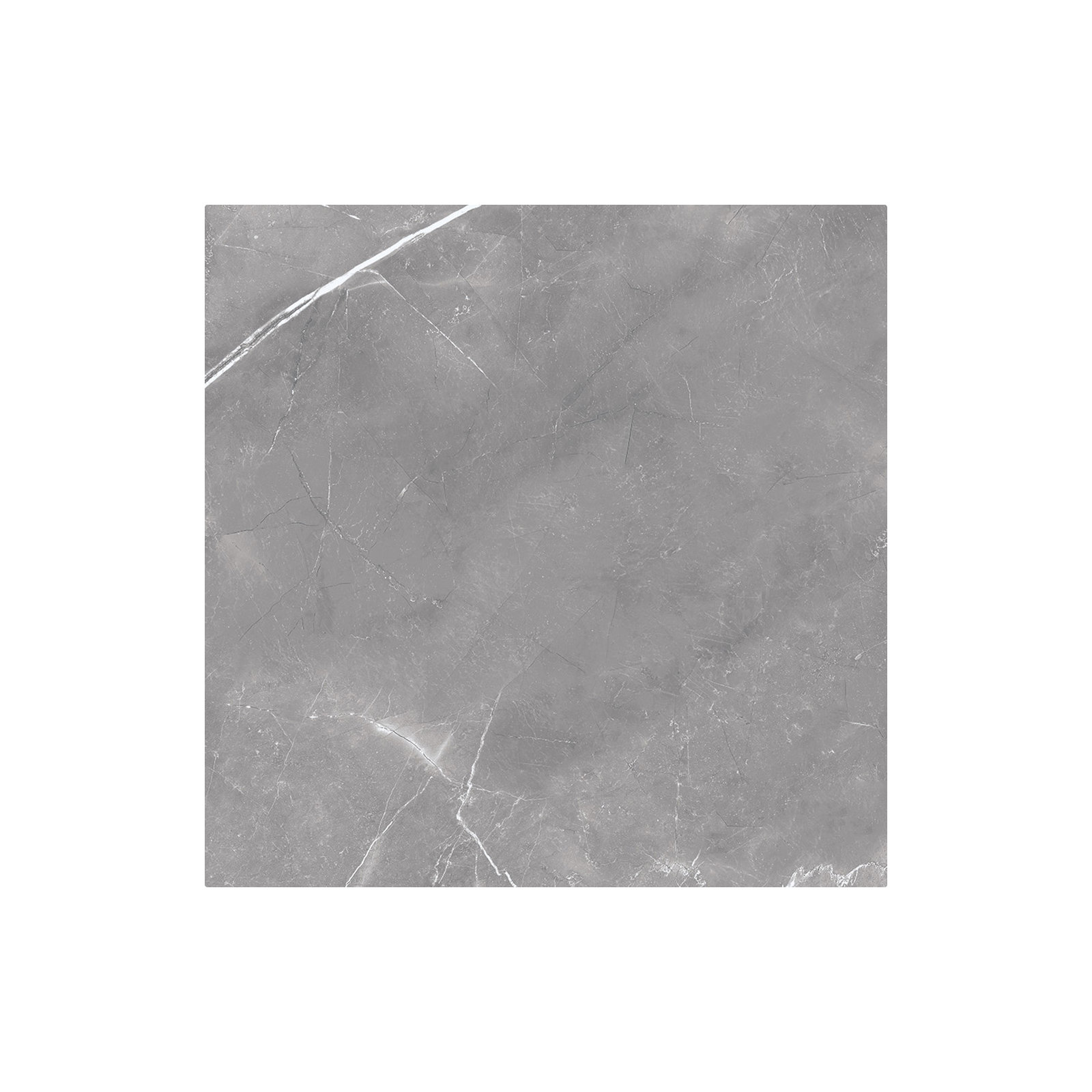 Magi 12" x 24" Polished, Gris