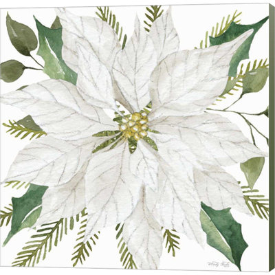 White Poinsettia by Cindy Jacobs - Wrapped Canvas Painting