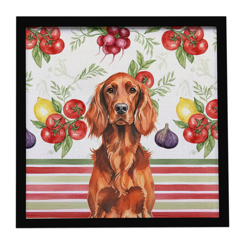 Irish Setter Vegetables Framed Metal Print