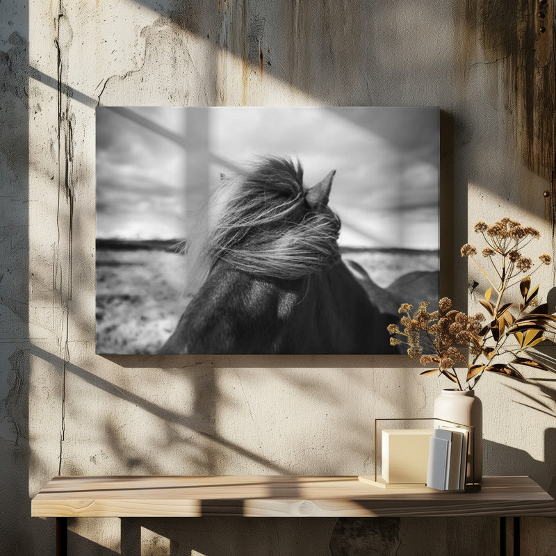 Wrapped Canvas Print, 50.8 cm H x 76.2 cm W