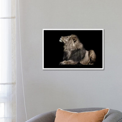 Ignorance by Paul Neville - Gallery-Wrapped Canvas Giclée on Canvas
