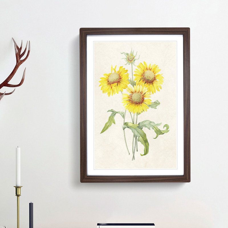 Yellow Blanket Flowers by Pierre-Joseph Redoute - Picture Frame Painting Print, 65cm H x 48cm W x 2cm D, Walnut Framed