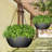 Hanging Planter-1275474323