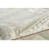 Laceyville Oriental Indoor Rug