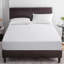 Waterproof Fitted Mattress Protector Case Pack-947923877