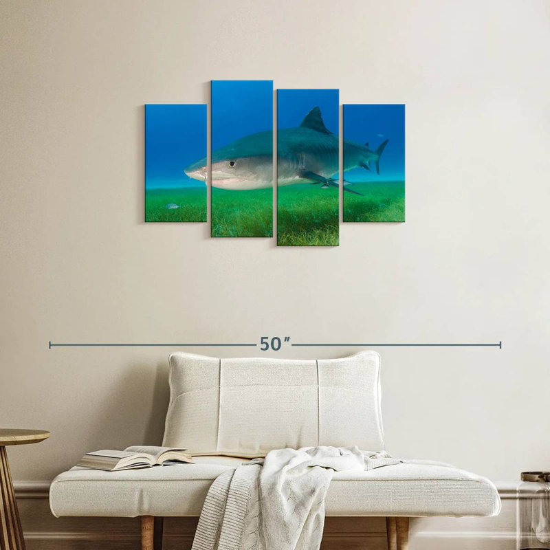 Brampt Tiger Shark On Sea Grass, 22" H x 36" W
