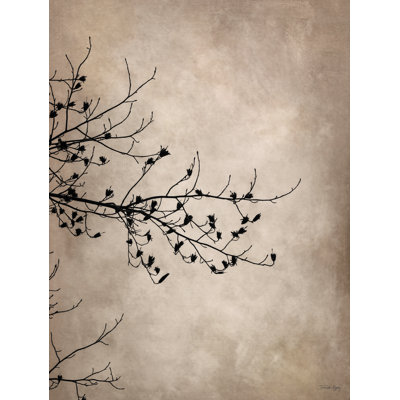 Au repos dans le brouillard du lac par Jennifer Rigsby
