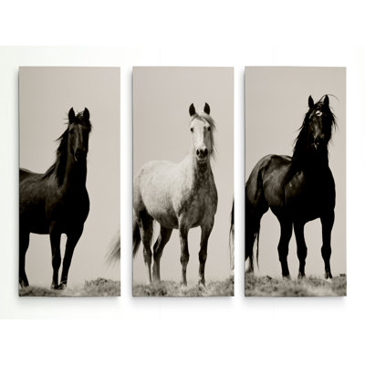 " Wild Stallions " 3 - Pieces