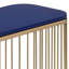 Classy Blue and Gold