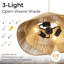 Lustre en rotin à 3 lumières avec motif tressé-312064463