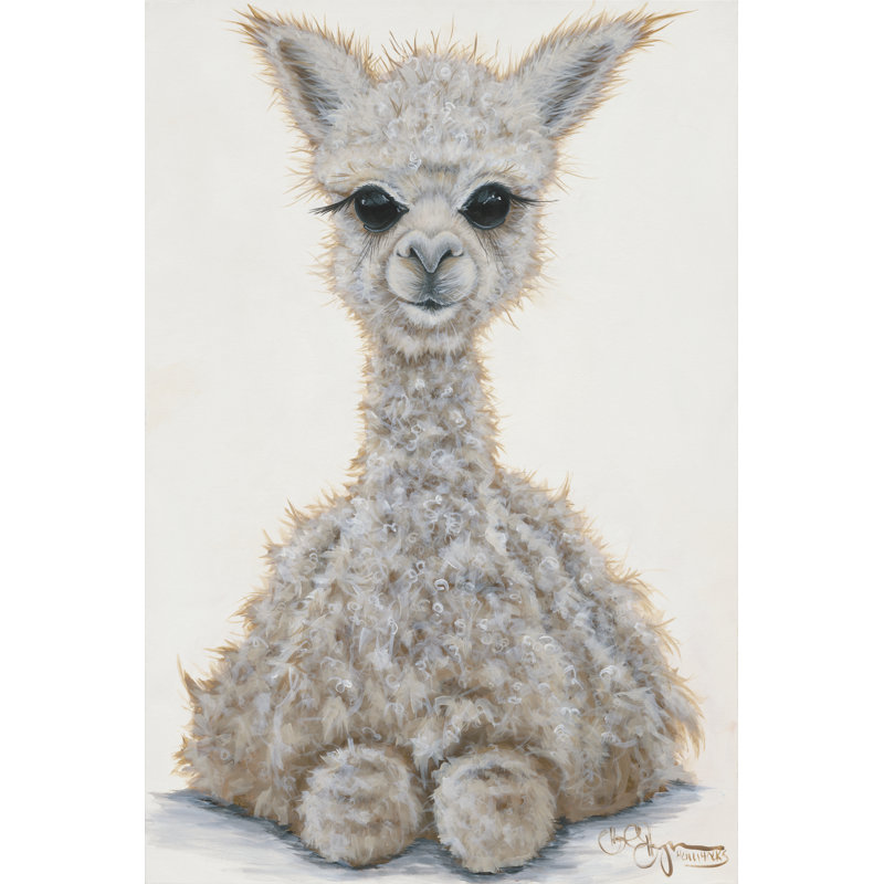 «Fuji Baby Alpaca» par Hollihocks Art, H 12 po x l 8 po