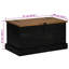 Camp Trunk / Footlocker-498705754
