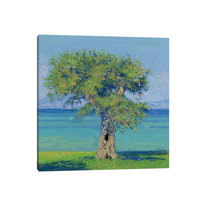 Olive Tree On The Coast Of Dasia by Simon Kozhin - Gallery-Wrapped Canvas Giclée on Canvas, 93.98 cm H x 93.98 cm W