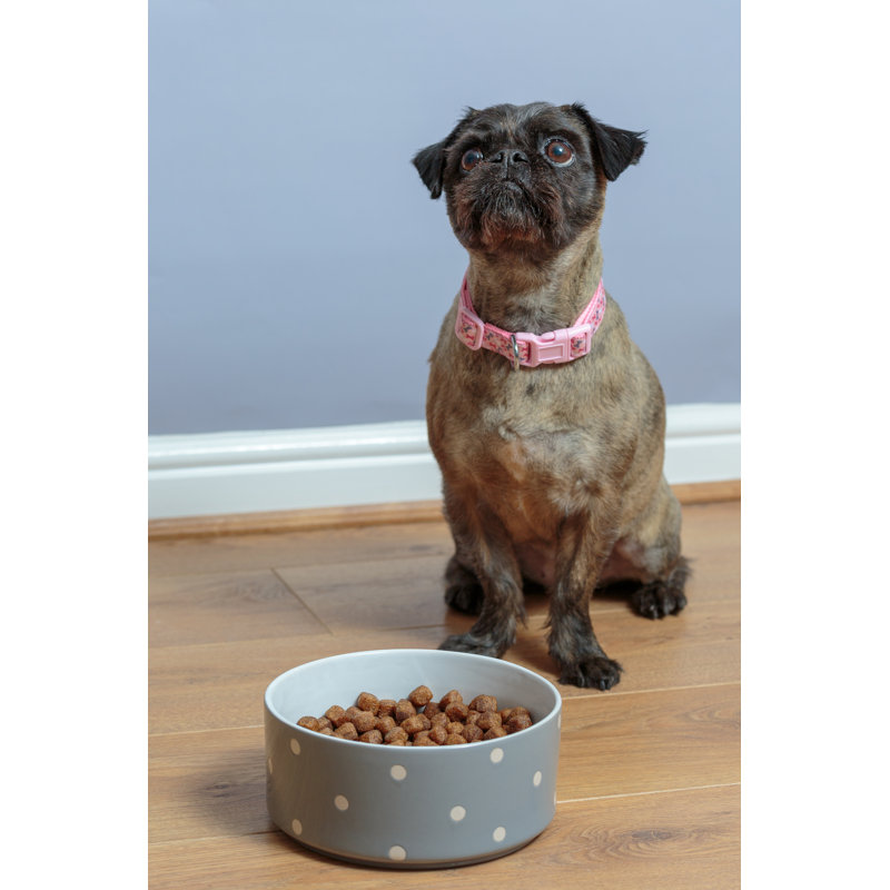Polka Dot Dog Bowls, Grey, 4cm H x 13cm W x 13cm D
