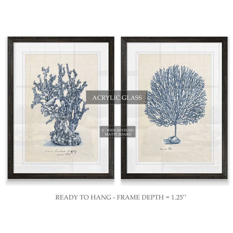 " Sea Coral Study III " 2 - Pieces, Ebony Framed, White, 24" H x 18" W x 1.25" D