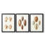 Lamarck Shells I - reproduction sur mesure encadrée de qualité supérieure - 3 pièces-1358343970
