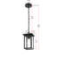 Luminaire suspendu d'extérieur 6 pouces noir Mershon