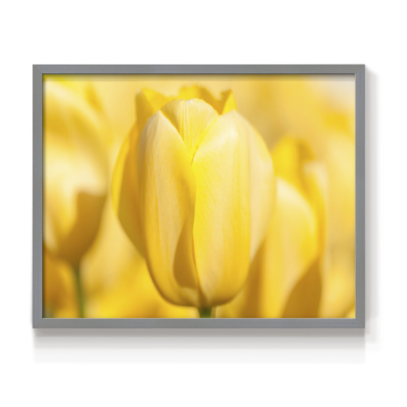 Sunshine Yellow II -Framed Print - Restickable, Gray, 11" H x 14" W