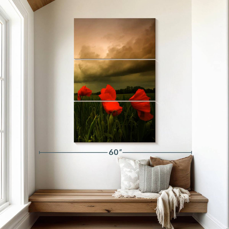 Stormy Cloud Poppies