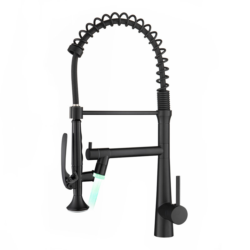 Fapully Pull Down Kitchen Faucet
