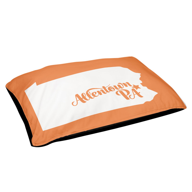 Coussin stylisé allentown de pennsylvanie, Moyen (L 30 po x l 40 po), Orange