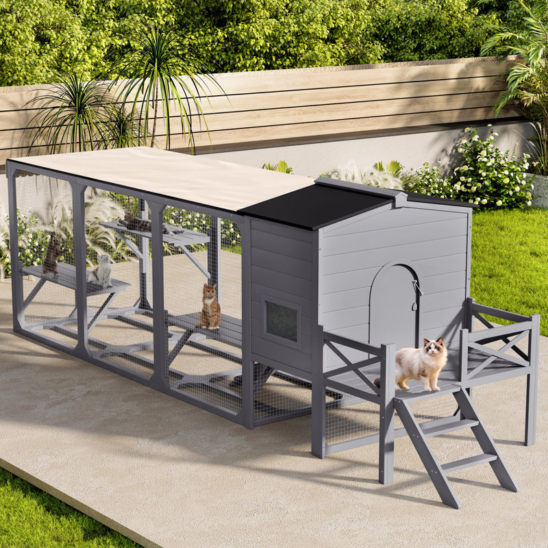 Enclos pour chat Catio