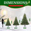 Lighted Christmas Tree-1773982002