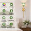 Ensemble de 2 appliques murales sans fil à piles avec ampoules DEL rechargeables et télécommande, lumières à intensité variable RVB avec abat-jour en verre tulipe-613521282
