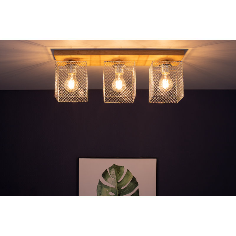 Perignan Spotlight