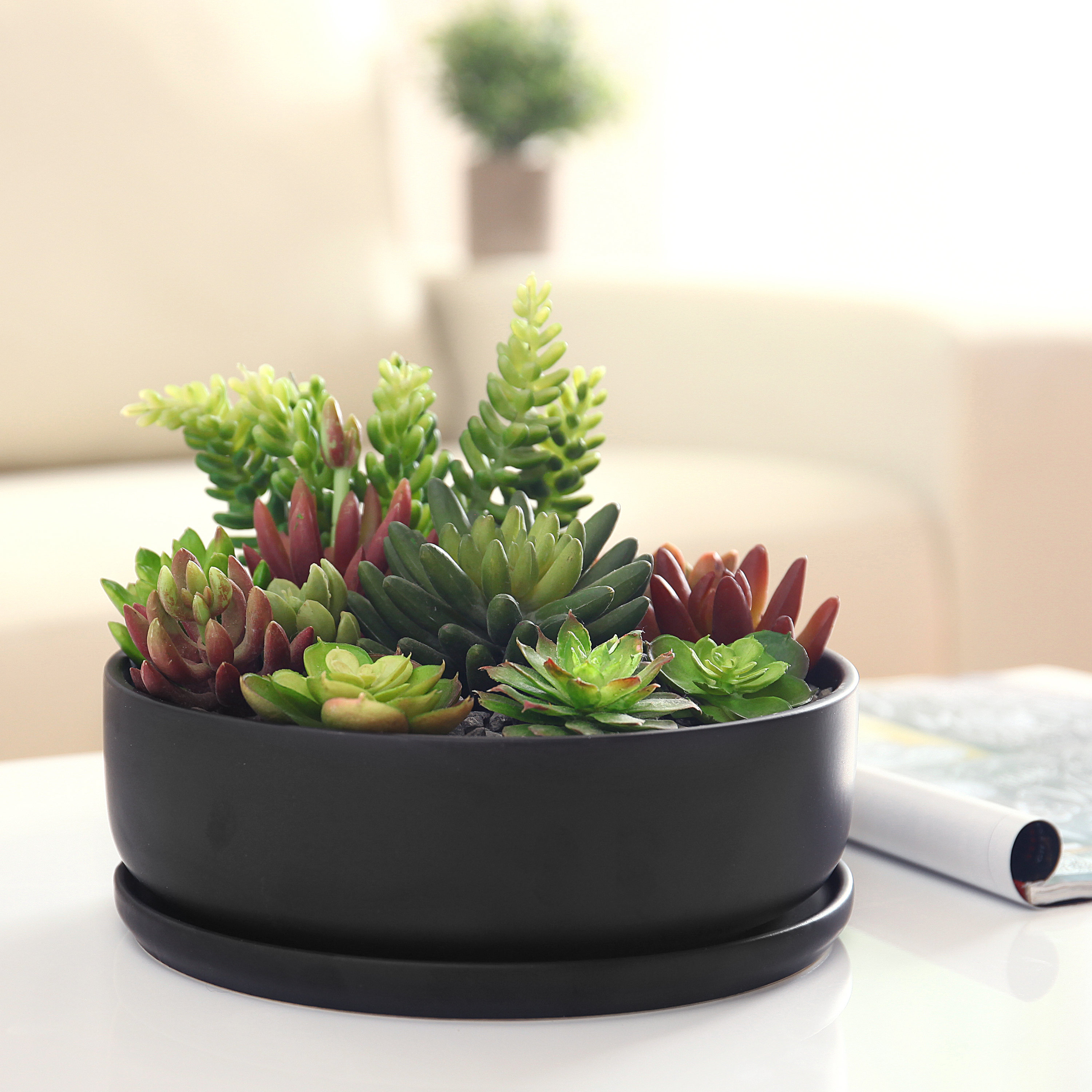 Plant Pots with Drainage Holes, Greaner 6inch Round Plastic Planters,  Mordern Matte Black Cactus, Flower, Succulents