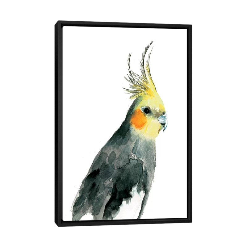 «Cockatiel II», reproduction sur toile, H 26 po x l 18 po x P 1,5 po, Toile avec cadre noir, Pas de tapis