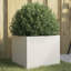 Planter Steel-573426464-578057592-578057591