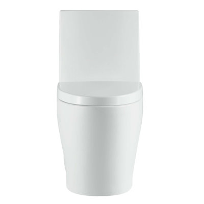 Dual-Flush Elongated One-Piece Toilet with High Efficiency Flush