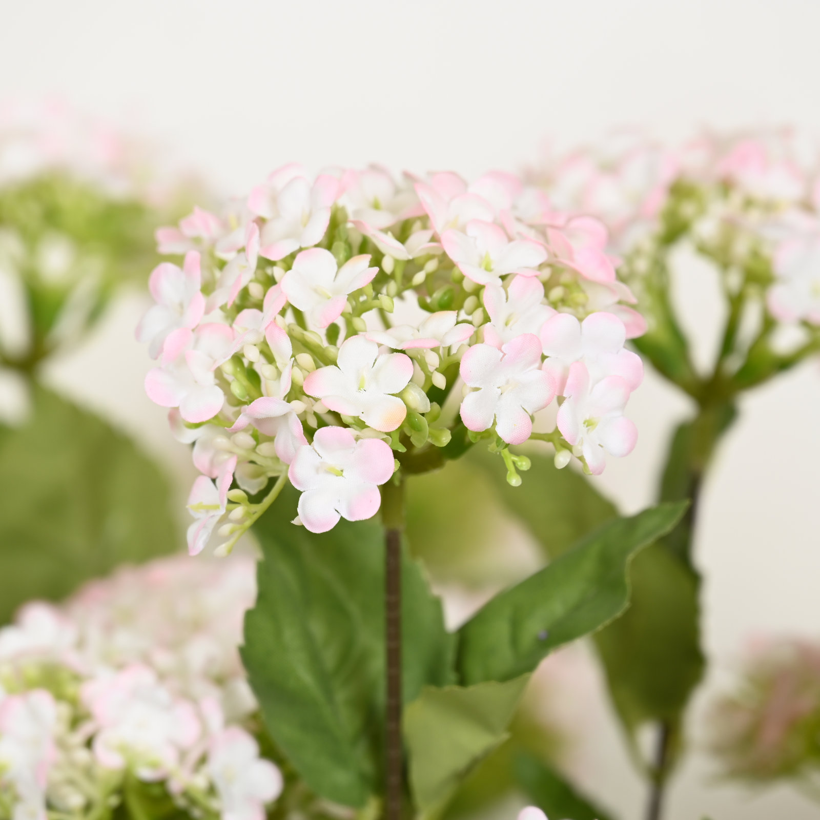 Hydrangea Floral Arrangement